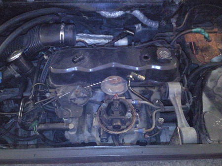 weicher kern......raue schale......